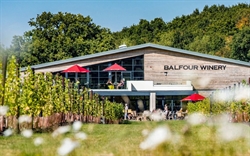 BALFOUR WINERY BALFOUR WINERY