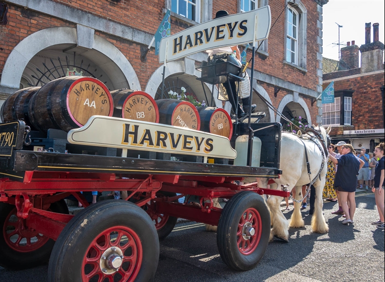 HARVEYS DRAY HORSES